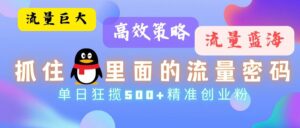 (13068期)流量蓝海,抓住QQ里面的流量密码!高效策略,单日狂揽500+精准创业粉-中创网_分享创业项目_助您在家赚钱