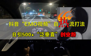 (13029期)抖音EMO视频自热打法,日引500+“泛垂直”创业粉-中创网_分享创业项目_助您在家赚钱