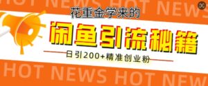 花重金学来的闲鱼到流秘籍,日引200+精准创业粉-中创网_分享创业项目_助您在家赚钱