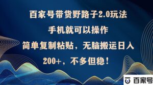 (12804期)百家号带货野路子2.0玩法,手机就可以操作,简单复制粘贴,无脑搬运日…-中创网_分享创业项目_助您在家赚钱