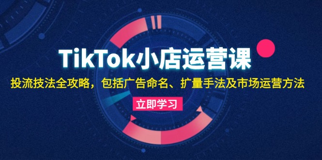 TikTok小店运营课：投流技法全攻略，包括广告命名 扩量手法及市场运营方法-中创网_分享创业项目_助您在家赚钱