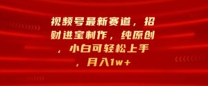 视频号最新赛道，招财进宝制作，纯原创，小白可轻松上手，月入1w+-中创网_分享创业项目_助您在家赚钱