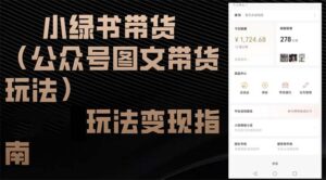 (12903期)小绿书带货(公众号图文带货玩法)玩法变现指南-中创网_分享创业项目_助您在家赚钱
