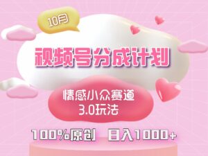 (12939期)视频号情感小众赛道3.0.纯原创视频,每天1小时,小白易上手-中创网_分享创业项目_助您在家赚钱