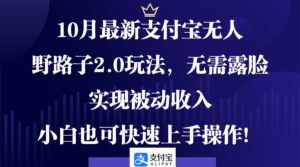 （12824期）10月最新支付宝无人野路子2.0玩法，无需露脸，实现被动收入，小白也可…-中创网_分享创业项目_助您在家赚钱