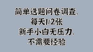 简单选题问卷调查，每天1张，新手小白无压力，不需要经验-中创网_分享创业项目_助您在家赚钱