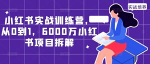 小红书实战训练营,从0到1,6000万小红书项目拆解-中创网_分享创业项目_助您在家赚钱
