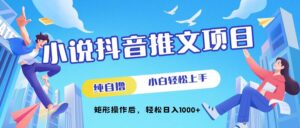 小说抖音推文项目,纯自撸,小白轻松上手,矩形操作后,轻松日入几张-中创网_分享创业项目_助您在家赚钱