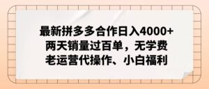 （12869期）拼多多最新合作日入4000+两天销量过百单，无学费、老运营代操作、小白福利-中创网_分享创业项目_助您在家赚钱