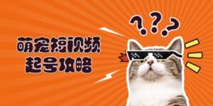 (13135期)萌宠-短视频起号攻略:定位搭建推流全解析,助力新手轻松打造爆款-中创网_分享创业项目_助您在家赚钱