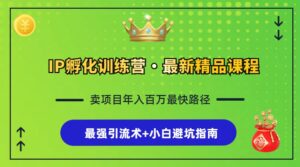 (13055期)IP孵化训练营,知识付费全流程+最强引流术+小白避坑指南-中创网_分享创业项目_助您在家赚钱