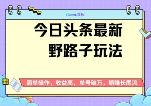头条最新野路子玩法,无成本简单上手,无脑操作,新手单号过W-中创网_分享创业项目_助您在家赚钱
