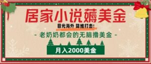 居家小说薅美金，拆解海外撸美金项目月入2000美刀详细指导-中创网_分享创业项目_助您在家赚钱