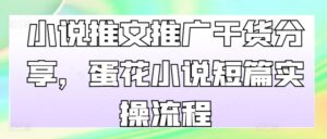 小说推文推广干货分享，蛋花小说短篇实操流程-中创网_分享创业项目_助您在家赚钱