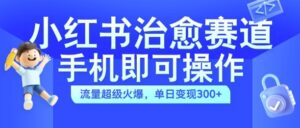 小红书治愈视频赛道，手机即可操作，流量超级火爆，单日变现300+【揭秘】-中创网_分享创业项目_助您在家赚钱