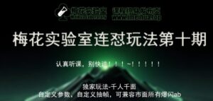 梅花实验室社群专享课视频号连怼玩法第十期课程+第二部分-FF助手全新高自由万能爆闪AB处理-中创网_分享创业项目_助您在家赚钱