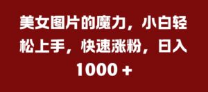 美女图片的魔力，小白轻松上手，快速涨粉，日入几张【揭秘】-中创网_分享创业项目_助您在家赚钱