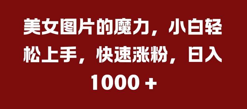 美女图片的魔力，小白轻松上手，快速涨粉，日入几张【揭秘】-中创网_分享创业项目_助您在家赚钱