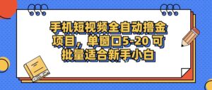 (12898期)手机短视频掘金项目,单窗口单平台5-20 可批量适合新手小白-中创网_分享创业项目_助您在家赚钱