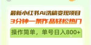 (13182期)最新小红书Ai洗稿变现项目 3分钟一条作品轻松热门 操作简单,单号日入800+-中创网_分享创业项目_助您在家赚钱