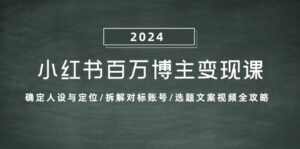 小红书百万博主变现课:确定人设与定位/拆解对标账号/选题文案视频全攻略-中创网_分享创业项目_助您在家赚钱