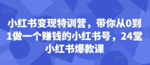 小红书变现特训营,带你从0到1做一个赚钱的小红书号,24堂小红书爆款课-中创网_分享创业项目_助您在家赚钱