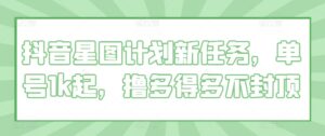 抖音星图计划新任务，单号1k起，撸多得多不封顶-中创网_分享创业项目_助您在家赚钱