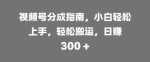 视频号分成指南,小白轻松上手,轻松搬运,日入3张-中创网_分享创业项目_助您在家赚钱