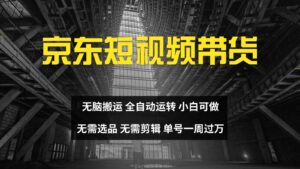 京东短视频达人带货，无脑搬运，无需选品，矩阵操作，单号一周过万-中创网_分享创业项目_助您在家赚钱