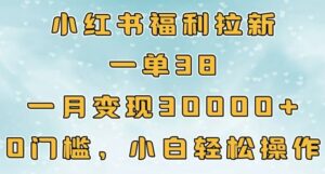 小红书福利拉新,一单38,一月3000+轻轻松松,0门槛小白轻松操作-中创网_分享创业项目_助您在家赚钱