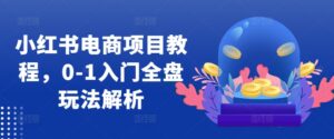 小红书电商项目教程,0-1入门全盘玩法解析-中创网_分享创业项目_助您在家赚钱