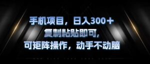 (13084期)手机项目,日入300+,复制黏贴即可,可矩阵操作,动手不动脑-中创网_分享创业项目_助您在家赚钱