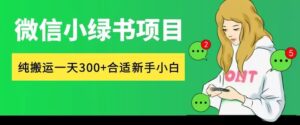 微信小绿书项目，纯搬运，日入300+，每天操作十分钟-中创网_分享创业项目_助您在家赚钱
