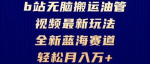 (13155期)B站无脑搬运油管视频最新玩法,轻松月入过万,小白轻松上手,全新蓝海赛道-中创网_分享创业项目_助您在家赚钱