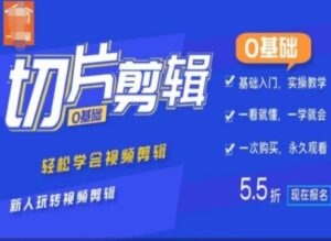 0基础IP切片剪辑,轻松学会视频剪辑,新人玩转视频剪辑-中创网_分享创业项目_助您在家赚钱