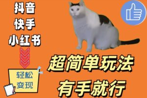 超简单玩法,有手就行,靠猫咪视频日入500+【揭秘】-中创网_分享创业项目_助您在家赚钱