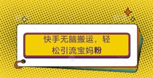 快手无脑搬运,轻松引流宝妈粉,纯小白轻松上手【揭秘】-中创网_分享创业项目_助您在家赚钱