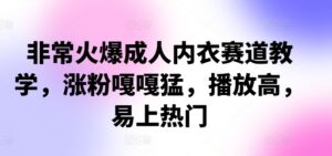 非常火爆成人内衣赛道教学，​涨粉嘎嘎猛，播放高，易上热门-中创网_分享创业项目_助您在家赚钱