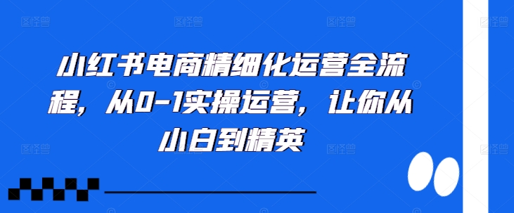 小红书电商精细化运营全流程，从0-1实操运营，让你从小白到精英-中创网_分享创业项目_助您在家赚钱