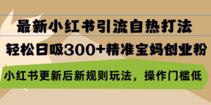 （13145期）最新小红书引流自热打法，轻松日吸300+精准宝妈创业粉，小红书更新后新...-中创网_分享创业项目_助您在家赚钱