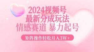 （12922期）2024最新视频号分成玩法，情感赛道，暴力起号，矩阵操作轻松月入3W+-中创网_分享创业项目_助您在家赚钱