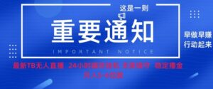 双11淘宝撸金项目–无人挂JI带货,无需值守,稳定捞金,月入5位数-中创网_分享创业项目_助您在家赚钱