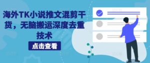海外TK小说推文混剪干货，无脑搬运深度去重技术-中创网_分享创业项目_助您在家赚钱