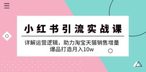 (12809期)小红书引流实战课:详解运营逻辑,助力淘宝天猫销售增量,爆品打造月入10w-中创网_分享创业项目_助您在家赚钱