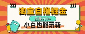 淘宝自撸掘金，一天2张，多号多撸，小白也能玩转-中创网_分享创业项目_助您在家赚钱