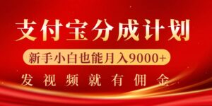 支付宝视频分成计划,一万播放200-300+,抓紧来干-中创网_分享创业项目_助您在家赚钱