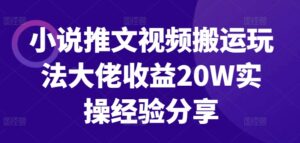 小说推文视频搬运玩法大佬收益20W实操经验分享-中创网_分享创业项目_助您在家赚钱