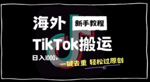 2024最新海外TikTok搬运玩法,一键去重轻松过原创,新手无经验也能日入1k【揭秘】-中创网_分享创业项目_助您在家赚钱