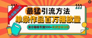 2024年最猛引流方法单条作品百万播放量,当日轻松引流500+,高质量创业粉-中创网_分享创业项目_助您在家赚钱