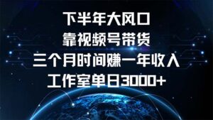 (12849期)下半年风口项目,靠视频号带货三个月时间赚一年收入,工作室单日3000+-中创网_分享创业项目_助您在家赚钱
